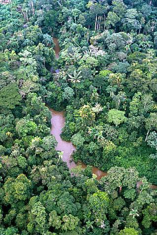 (obr003-James D.Nations) - Aerial view of Rio Tiputini the Amazon Jungle region of Napo, Ecuador