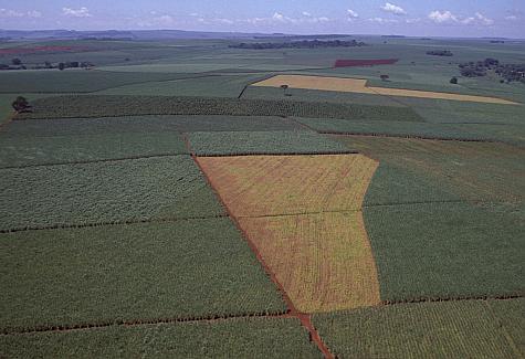 (Obr016-Delfim Martins/F4) - Sugar cane fields, Vista Aerea Cana, Brazil