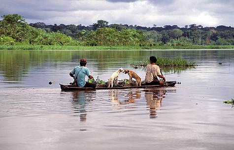 (obr022-Inga Spence) - Men paddling a dugout canoe with their dogs, Amazon River, Peru