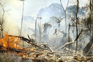 (Obr-def09-R.Funari/F4) - Burning tropical rainforest for cultivation and cattle, Amazonias, Brazil