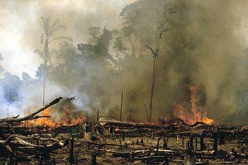 (Obr-def10-Nair Benedicto/F4) - Burning tropical rainforest for cultivation and cattle, Amazonias, Brazil